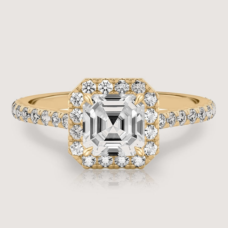 Eliana Asscher