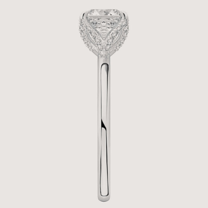 Platinum view 3