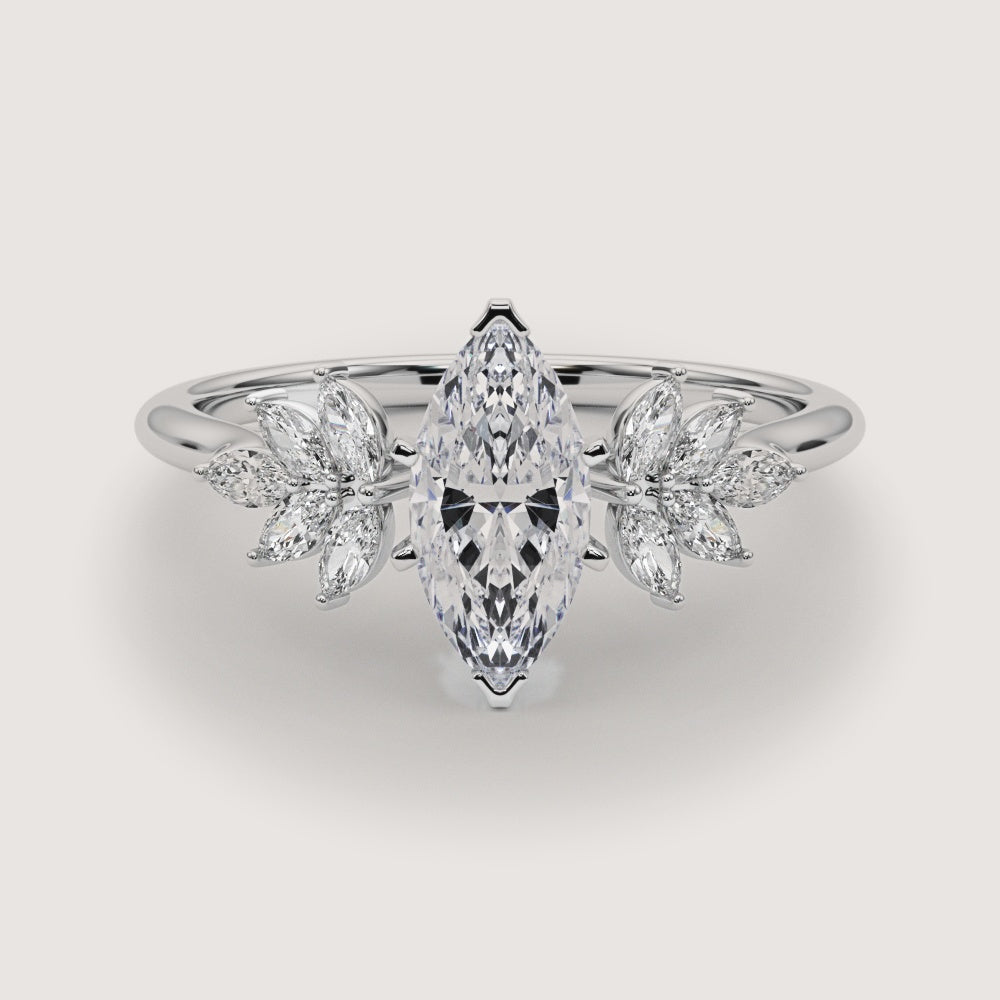Platinum view 2