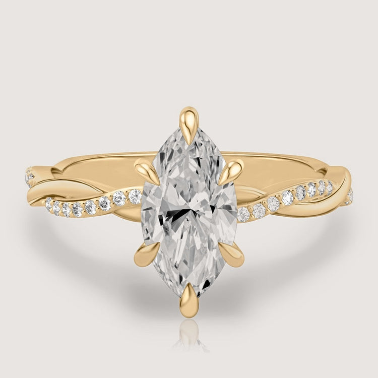 Genevra Marquise