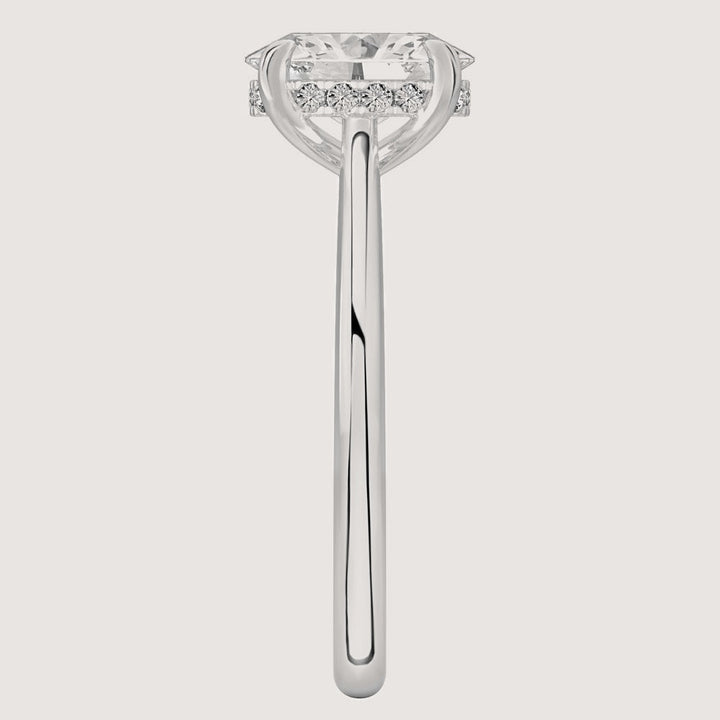 Platinum view 3