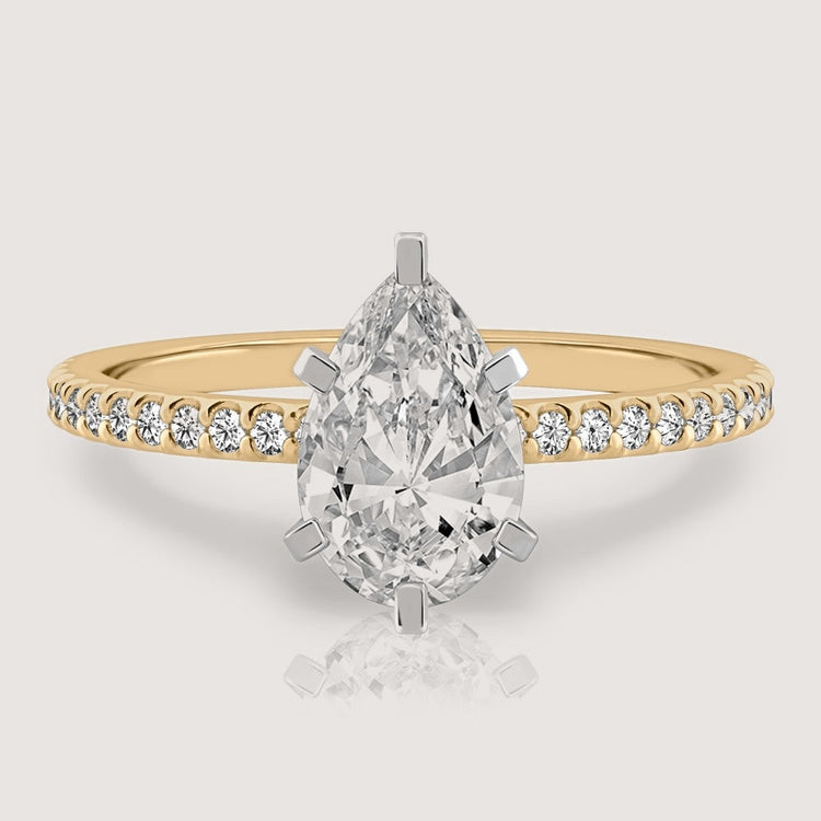 Marguerite Pear