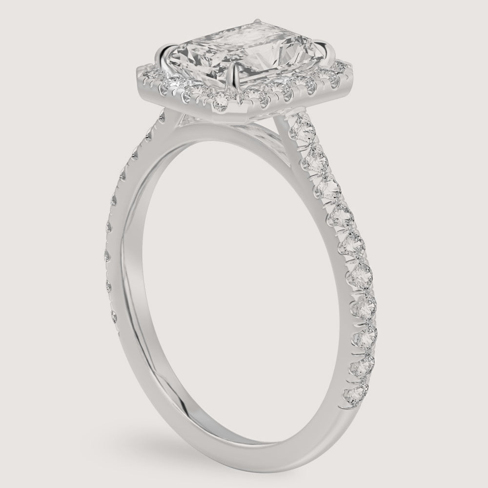 Platinum view 2