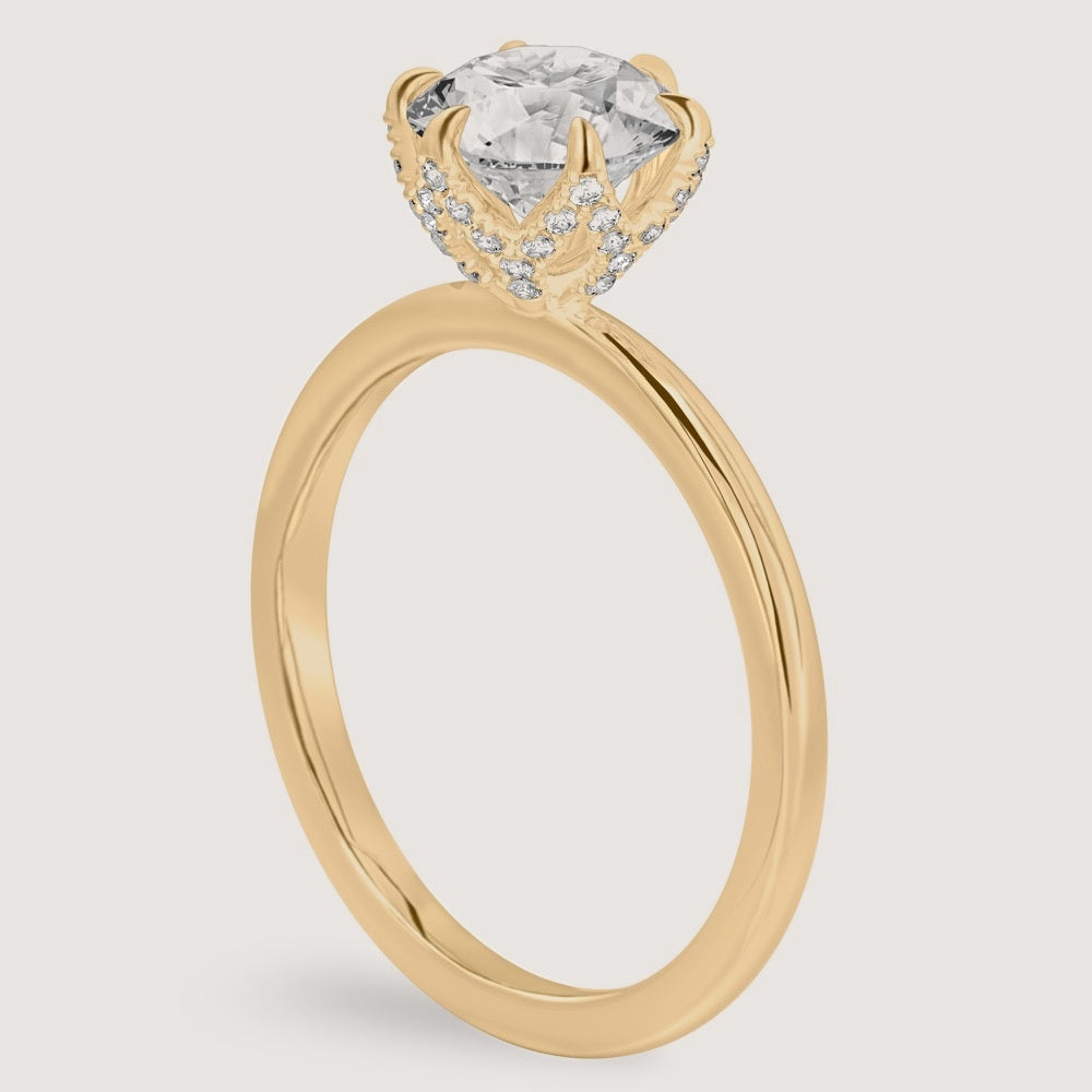Yellow Gold view 2