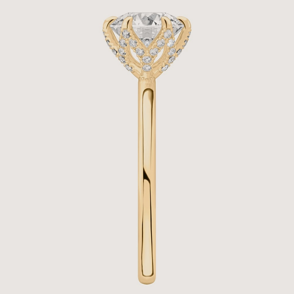 Yellow Gold view 3