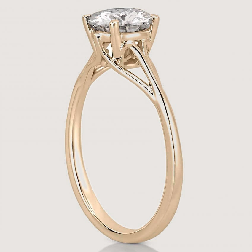 Yellow Gold view 2